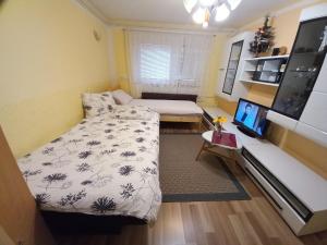 Habitación pequeña con cama y TV. en Apartment Jorsi with Mountain View, en Zreče