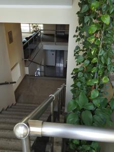 a hallway with stairs and a green plant at Apartamentai PAlanga in Palanga