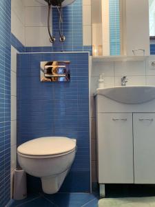 niebieska kafelkowa łazienka z toaletą i umywalką w obiekcie Apartment Conty on the ground floor w mieście Malinska +33 zdjęcia