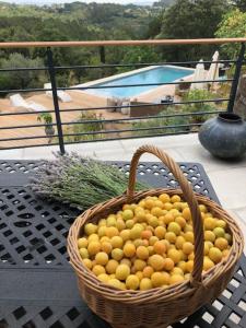 um cesto de fruta sentado numa mesa em Mas du Tracol em Les Assions