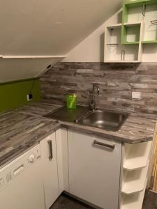 Kuchyň nebo kuchyňský kout v ubytování S&W Apartment Loserblick