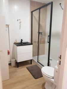 a bathroom with a shower and a toilet and a sink at Le studio 19 in Saint-Cast-le-Guildo