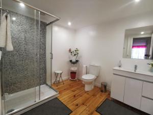 a bathroom with a shower and a toilet and a sink at O Mercadinho in Poiares