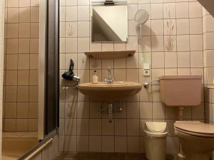 ein Badezimmer mit einem Waschbecken, einem WC und einem Spiegel in der Unterkunft Landschaftsgasthaus Schanze 1 in Schmallenberg