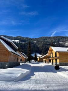 a group of buildings in the snow with mountains in the background at DualPark Afritz am See in Scherzboden