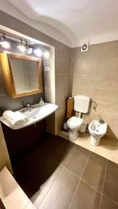 a bathroom with a sink and a toilet at Ultracentral Apartment in Arad