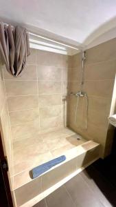 een douche met een blauwe weegschaal in een badkamer bij Ultracentral Apartment in Arad