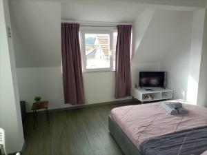 a bedroom with a bed and a television and a window at Finesi Apartments 2 in Ohrid