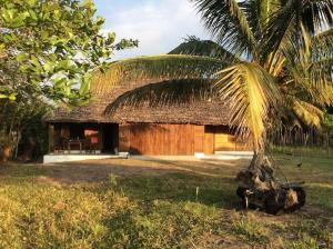 une petite cabane avec un toit de paille et un palmier dans l'établissement Beach front Cottage, à Mahambo