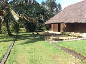 une maison avec un toit en gazon et une cour en gazon dans l'établissement Beach front Cottage, à Mahambo
