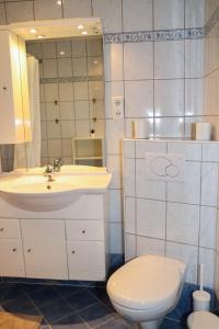 a bathroom with a toilet and a sink at Appartement Bärhof in Innsbruck