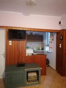 a kitchen with a stove in the middle of a room at Zöld Liget Vendégház in Balatonfenyves