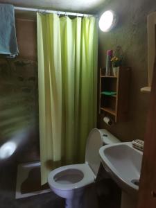 ein Badezimmer mit einem grünen Duschvorhang und einem WC in der Unterkunft Gîte Mourik in Aghbala
