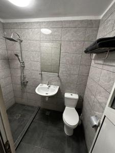 a bathroom with a toilet and a sink at Casa Bucovineană in Iaşi