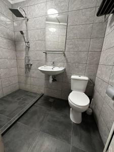 bagno con servizi igienici e lavandino di Casa Bucovineană a Iaşi