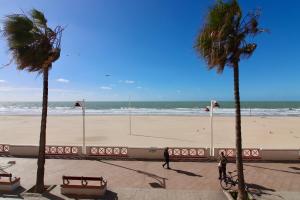 - une plage avec 2 palmiers et l'océan dans l'établissement AranPe PLAYA CÁDIZ, à Cadix