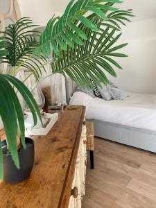 ein Wohnzimmer mit einem Holztisch mit einer Pflanze in der Unterkunft Spacious Studio Cabin with Sea/ Downs views Sole Use of HotTub in Seaford in Seaford