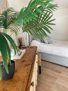 锡福德Spacious Studio Cabin with Sea/ Downs views Sole Use of HotTub in Seaford的客厅配有木桌和植物