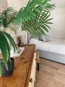 a living room with a wooden table and a plant at Spacious Studio Cabin with Sea/ Downs views Sole Use of HotTub in Seaford in Seaford