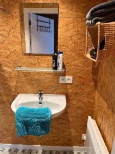 a bathroom with a sink and a mirror at Studio 't Hoveke in Gullegem