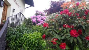 A garden outside GRETL - Residence