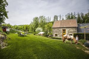 a horse grazing in a yard next to a building at Gut Frielinghausen in Meschede