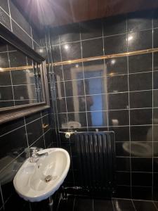 a bathroom with a sink and a mirror at Hamburger Villenviertel, ganzes Haus mit 5 Einbettzimmern,1 Esszimmer in Hamburg