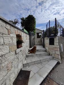 Fotografia z galérie ubytovania Casa Dolce Casa v destinácii Valdobbiadene