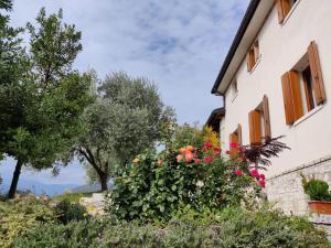 Vonkajšia záhrada v ubytovaní Casa Dolce Casa