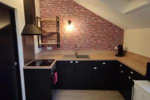 kuchnia ze zlewem i ceglaną ścianą w obiekcie Superbe studio en résidence rue de courcelles w mieście Arbois