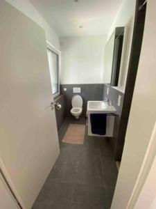 a small bathroom with a toilet and a sink at stylish luxus appartments in the city center in Trier