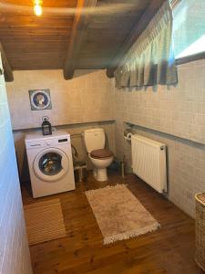 ein Badezimmer mit einem WC und einer Waschmaschine in der Unterkunft Arachova Luxury Chalet in Arachova