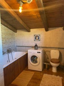 ein Badezimmer mit einer Waschmaschine und einem WC in der Unterkunft Arachova Luxury Chalet in Arachova