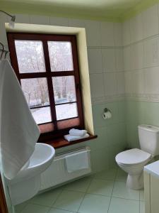 łazienka z toaletą, umywalką i oknem w obiekcie Gościniec Zamkowy w mieście Darłowo