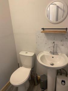 a bathroom with a white toilet and a sink at Y Teifi - room only in Llandysul