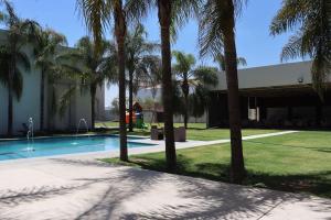 - une piscine bordée de palmiers en face d'un bâtiment dans l'établissement Wyndham Garden Aguascalientes Hotel & Casino, à Aguascalientes