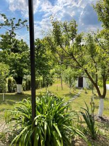 a view of a garden from a window with trees at Vikendica Fruskogorski kutak in Krušedol