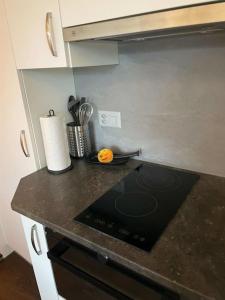 Η κουζίνα ή μικρή κουζίνα στο Beautiful flat with nice lake and mountain views