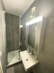 Ένα μπάνιο στο Beautiful flat with nice lake and mountain views