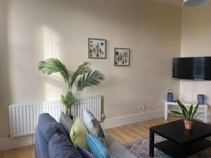 a living room with a blue couch and a palm tree at Large Bright apartment in St. Leonards