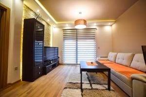 een woonkamer met een bank en een tv bij Apartman S1-2 in Zlatibor