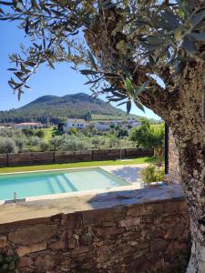 uma vista para uma piscina a partir de uma árvore em Raízes Turismo Rural em Castelo Branco