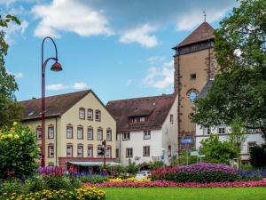 eine Gruppe von Gebäuden in einem Park mit Blumen in der Unterkunft Cosy and lovingly furnished apartment in the Black Forest in Villingen-Schwenningen