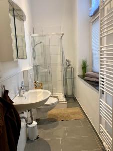 a bathroom with a sink and a toilet and a shower at Köln City Apartments in Cologne