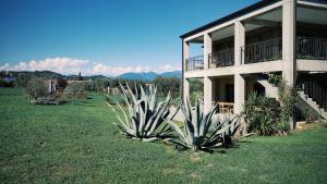 Zahrada ubytování Bed & Breakfast IL PAJO