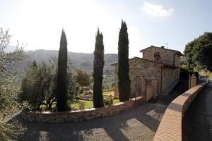 Príroda v okolí of the country house