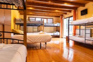 Habitación con 4 literas y suelo de madera. en Hotel Golf Natura, en La Coma i la Pedra