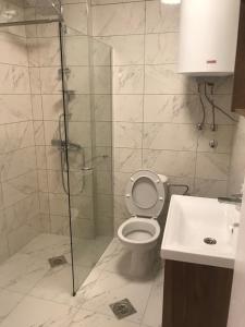 a bathroom with a shower and a toilet and a sink at Apartmani Anja Ohrid in Ohrid