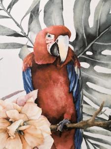 a painting of a red parrot sitting on a branch at Apartament Pod Papugami w Porto Łeba in Łeba