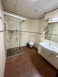 a bathroom with a shower and a sink and a toilet at Hotel Poleski in Krakow +33 photos